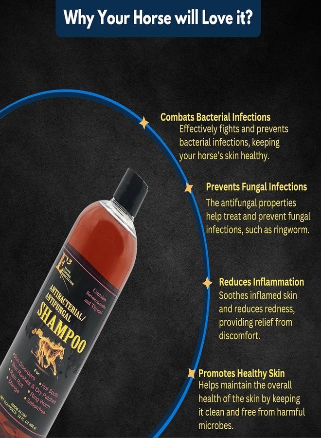 E3 شامبو E3 Elite Equine Evolution ABAF للكلاب والخيول 32 أونصة سائلة - Image 2